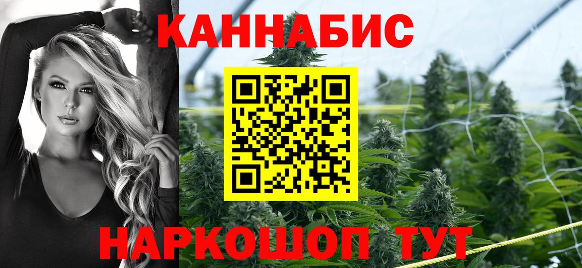 Бошки Шишки планчик  Вход с VPN  МАРИХУАНА AK-47  Пугачёв 
